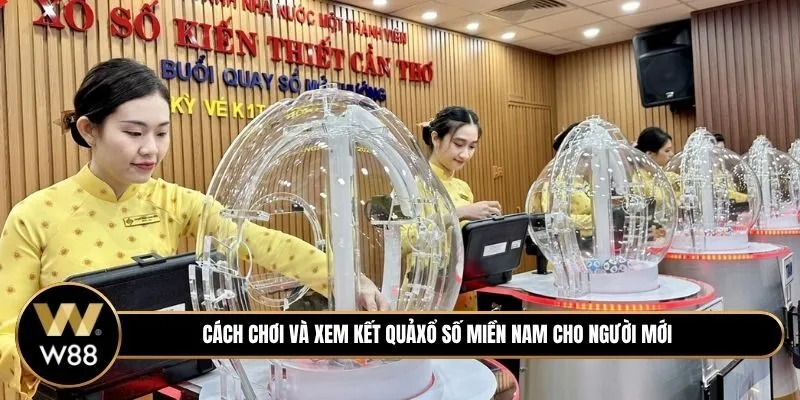 Xổ Số Miền Nam là gì? Hướng dẫn cách chơi và xem kết quả cho người mới
