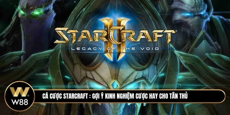 Cá cược Starcraft là gì? Gợi ý kinh nghiệm đánh cược hay cho tân thủ