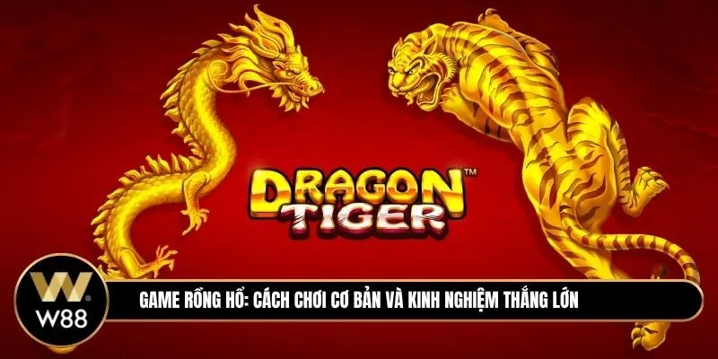 Rồng hổ là gì? Cách chơi cơ bản và kinh nghiệm dễ thắng cho tân thủ